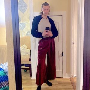 Banana Republic Size 6 (W) 28 (M) Dark Red Velvet Pants